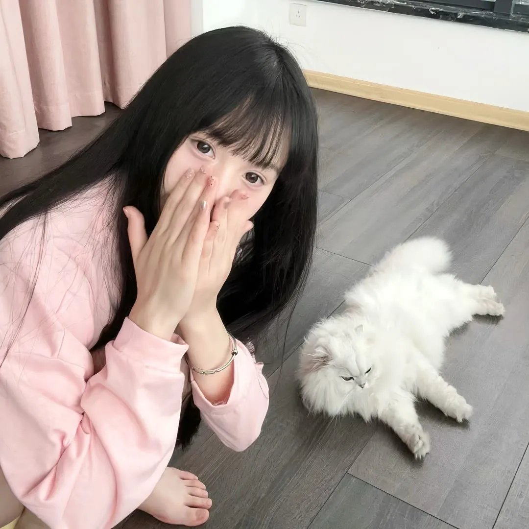 你好杀人犯