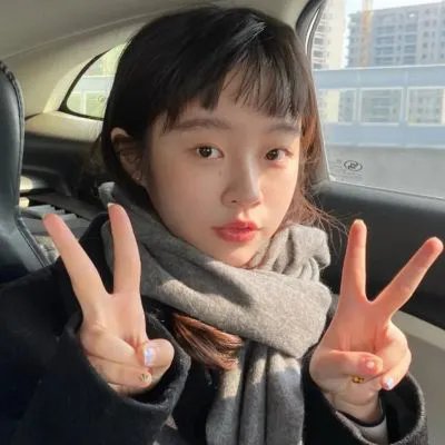 不进花瓶的洋甘菊
